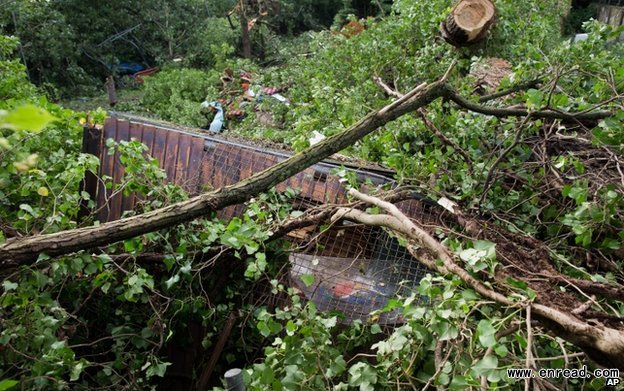 Police said two men and a woman were killed when a garden shed was destroyed by a tree
