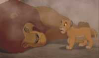 ʨ Lion King ӰӶ԰