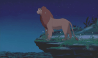 ʨ Lion King ӰӶ԰